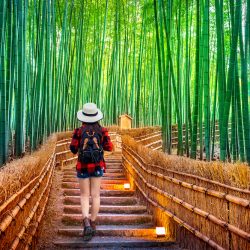 arashiyama_001